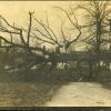 Downed tree on the campus of Madison College