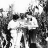 [Three unknown boys in the corn field at Madison College]