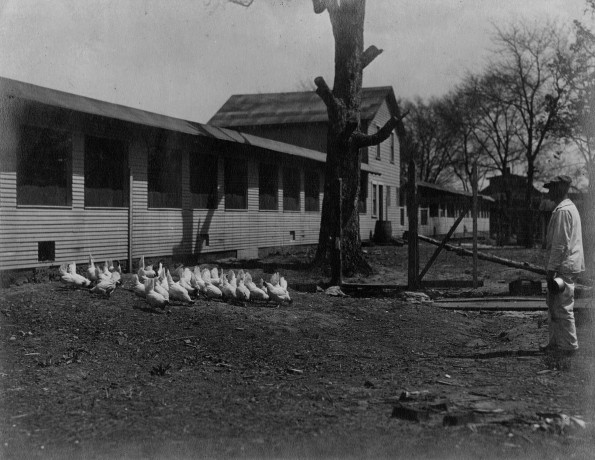 Unknown man at the Madison College farm egg factory