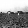 Fenton Carnahan's Vocational Agricultural Project at Madison College in Madison, TN