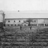 [Barn and vineyard at Madison College]