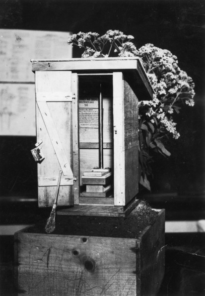[Miniature outhouse used to help teach proper sanitation at Madison College]