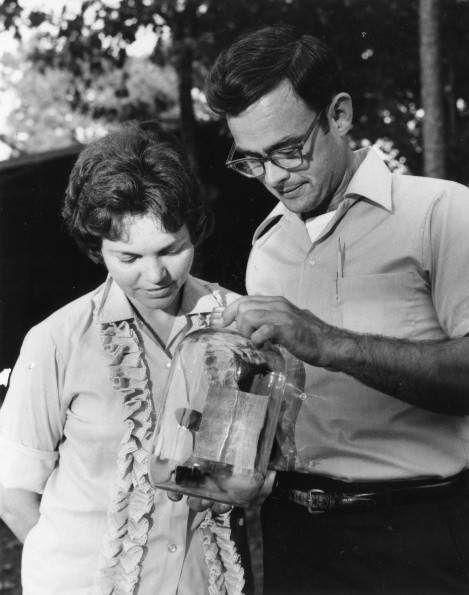 Two unknown people looking at a tarantella  in a jar