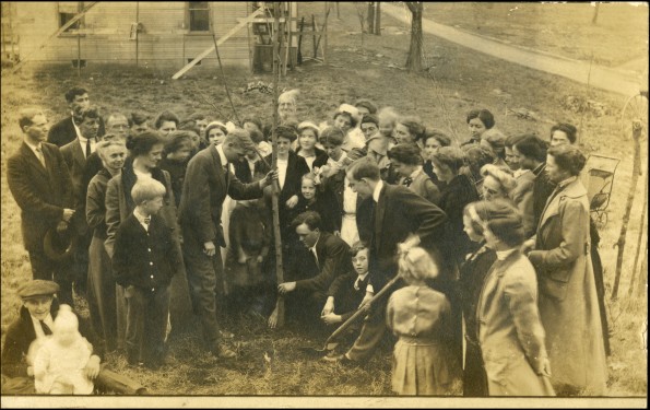Tree planting ceremony at Madison College