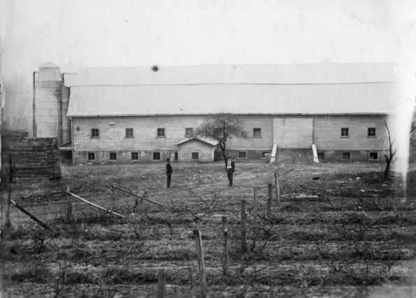 [Barn and vineyard at Madison College]
