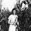 [Ellen A. Low standing in the corn field at Madison College]