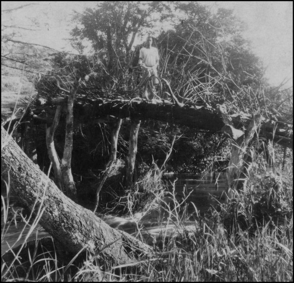 Native bridge, Kisii