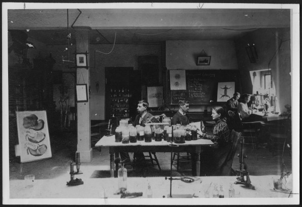 Battle Creek College students in an anatomy or physiology classroom