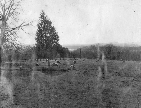 View at the entrance to Madison Sanitarium grounds