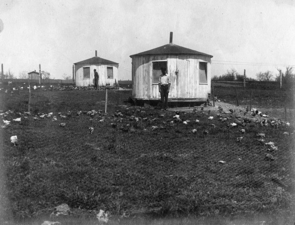 Two unknown students from Madison College with their Poultry Projects.