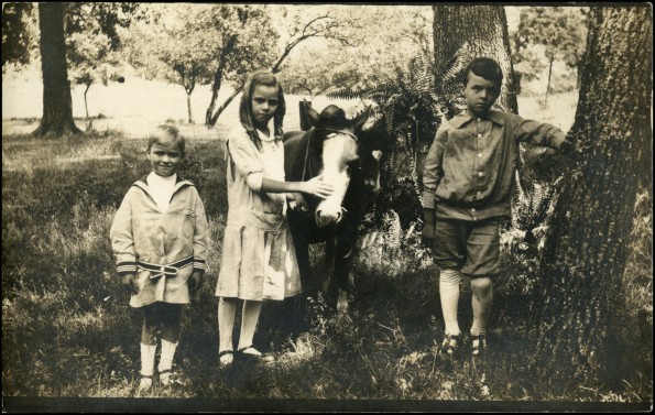 The Bralliar children